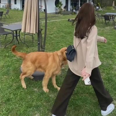 阿有正传
